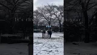 #aesthetic #snowfall #snow #japan #winter