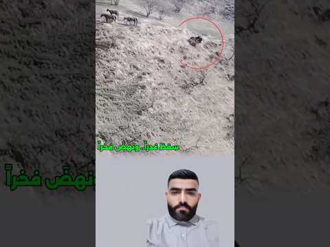 سقطَ غدراً.. ونهضَ فخراً #viral #shorts