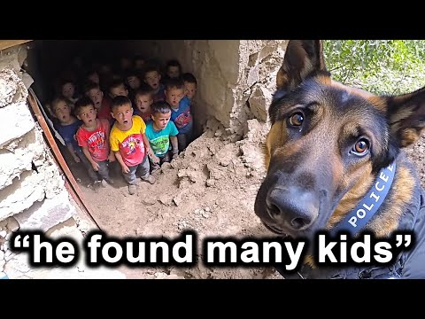 When Police Dogs Make 1 In A Million Discoveries