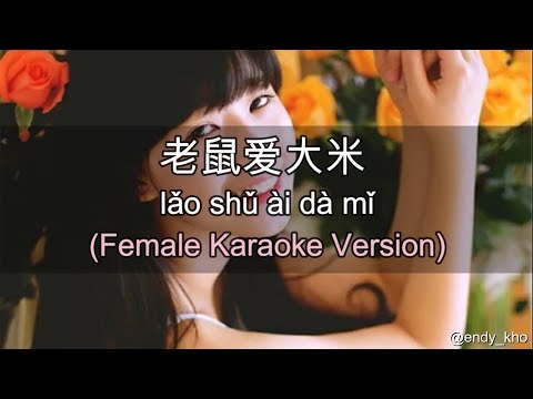 Lao shu Ai Da Mi( 老鼠愛大米) ] 伴奏 KTV Karaoke Female key pinyin lyrics