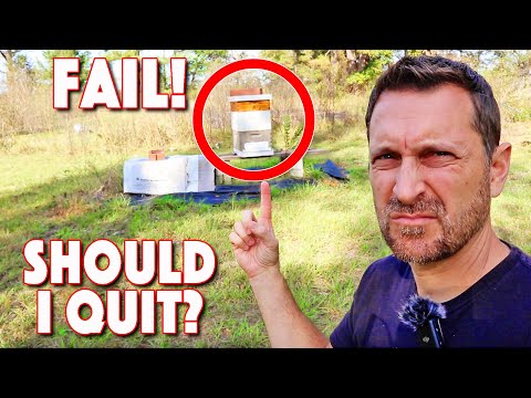 Biggest FAILURE on the Homestead! Knowing When To Move On!