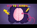 Understanding the Brain's Response Mechanisms