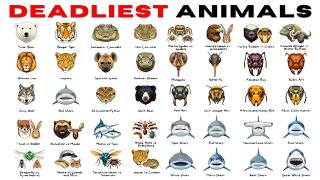 50 Minutes of the Most DANGEROUS Animals, Explained
