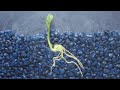 Plant Growth and Response Concepts