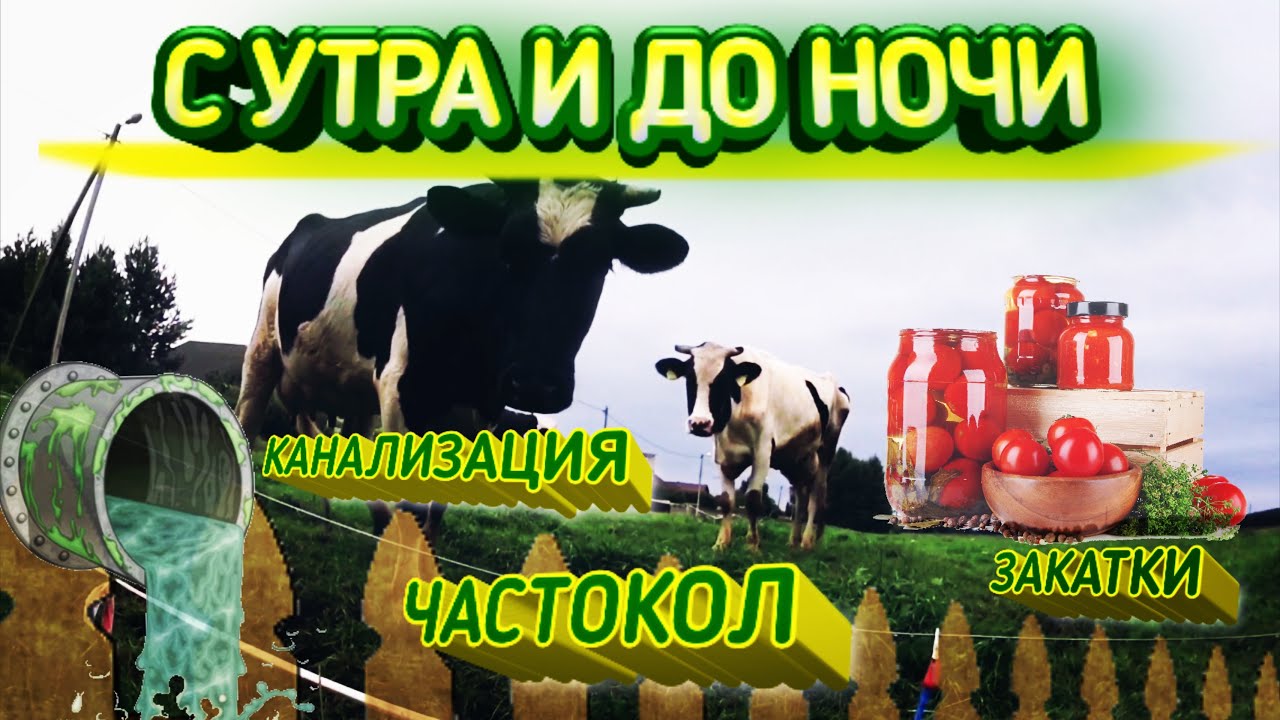 Один день из жизни в деревне в роли хозяев