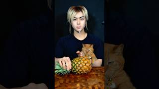 Can you destroy everyone?😵💥 #shorts #mukbang #food #challenge #cat