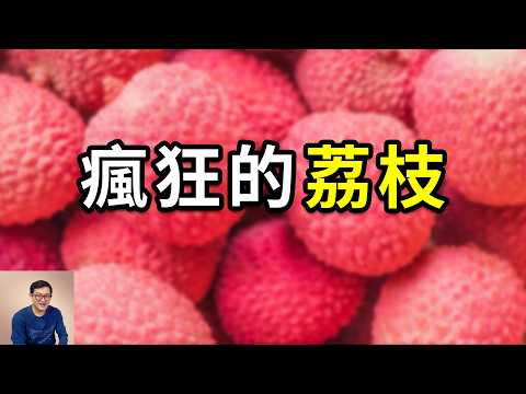 荔枝人人愛吃，但吃多了竟可能致命！最有故事性的水果，廣東人的驕傲，但長安的荔枝真來自嶺南嗎？【老肉雜談】