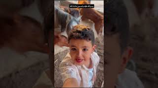 في ازكى من هيك || ما شاء الله