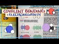 Covalent Bonding and Electronegativity Concepts