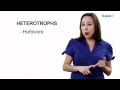 Biology: Energy and Nutrition Concepts