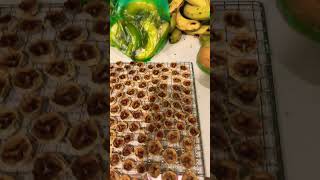 Rain outside, dehydrating inside. Prepping the seed harvest, getting the dry cake mix combos ready