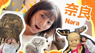 【旅】新幹線→近鉄に乗って奈良へ行ってきた🚅Travel to Nara, Japan.