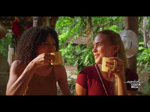Essential Costa Rica: The Freshest Cup of Coffee