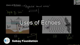 Uses of Echoes