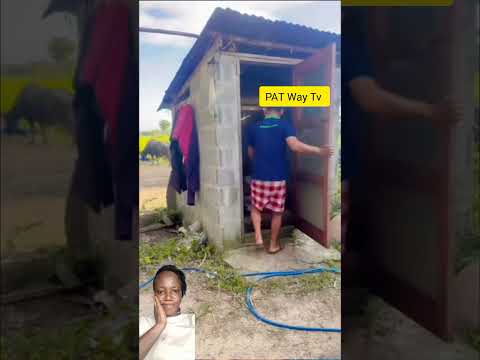 #music #nostalgia #reggae #duet #amapianotv #comedymusic #movie #whowillbemylifepartnerta #funny