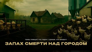 Запах СМЕРТИ над городом: Тонны гниющих туш рядом с домами. Кто виноват?