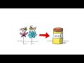 Rôle des abeilles dans la pollinisation
