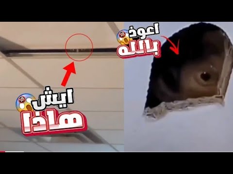 غرفة نوم الجن 207 صدفة غريبة تشابه مرعب من ارعب المغامرات #horror