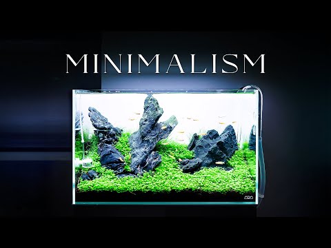 How to Create a Minimalist Rock Aquascape | Full Tutorial