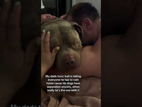 Don’t blame your problems on us Dad #dog #puppy #pups #dogs #americanbully