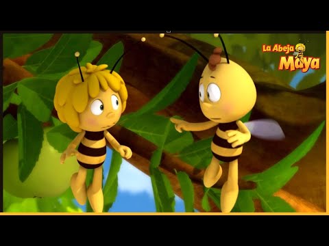 Filiberto | La Abeja Maya 🐝 35' Compilación