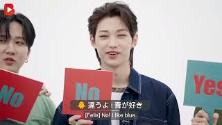 日本語字幕💕【English ＆ 日本語 subtitles】イエス or ノー クイズ 'Yes or No' Quiz Challenge with STRAY KIDS! BENCH👕