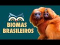 Biomas Brasileiros e Suas Características