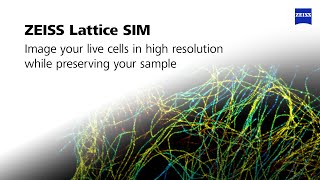 ZEISS Lattice SIM | Image your live cells in high resolution while preserving your sample