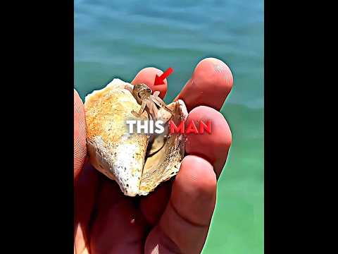 This Man Found a Baby Octopus… Now It Won’t Let Him Go 🐙♥️ #usa