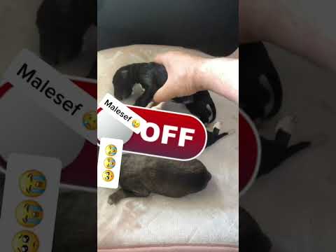 ANNE leri Maalesef ölmş iki kardeşi de maalesef ölmş Kalbi durmuş vücut buz gibiydi￼￼