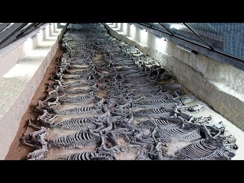12 Most Amazing Archaeological Discoveries