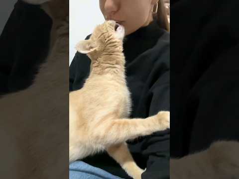 Руни любит целовашки)