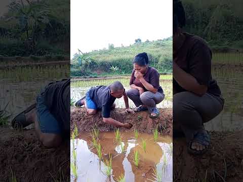 gehgeran pisan #comedy
