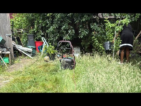 GARDENING 🧑‍🌾 🥲🫠 Cutting grass
