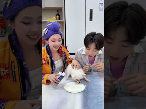 Rumi came to terms with the puppy leaving!#kpop #kpopdemonhunters #huntrix