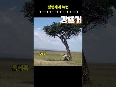 평행세계 뉴턴 ㅋㅋㅋ