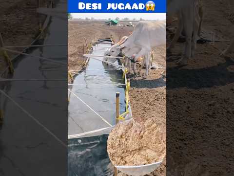 Desi jugaad😱 awaara pashu bhi khush #rooftop #farming #facts #animals #wild #pets #vet #earn