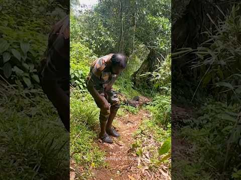 ആനയെ കാണാതെ അതിന്റെ പൊക്കം കണക്കാക്കുന്ന  ട്രിക്ക് !