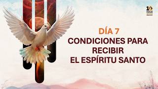 Día 7 - Condiciones para recibir al Espíritu Santo - Distrito de Pucón