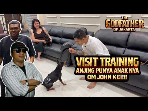 VISIT ANJING ANAK OM JOHN KEI ‼️ THE GODFATHER OF JAKARTA