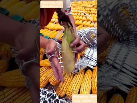 New type of corn peeler in China