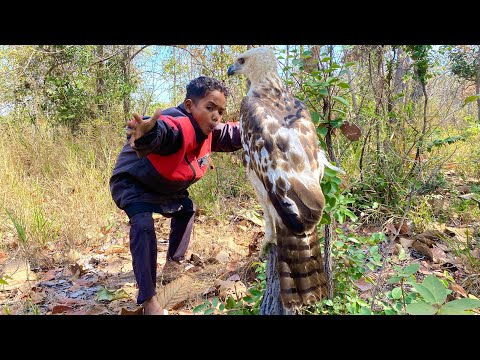 Awesome video of performing with Eagle. #nature #beautifulanimals #animals #eaglehunt #eagles