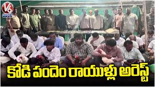 Police Arrested 22 Members Cockfighting Bettors In Adibatla | Rangareddy | V6 News