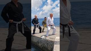 Trump Teaches Putin & Zelensky Karate! 😂🥋