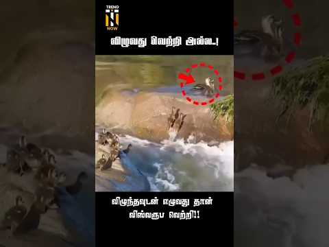 Oh my god 😱 • yarra antha paiyan #motivation #motivational