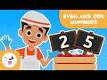 Even and Odd Numbers Explained