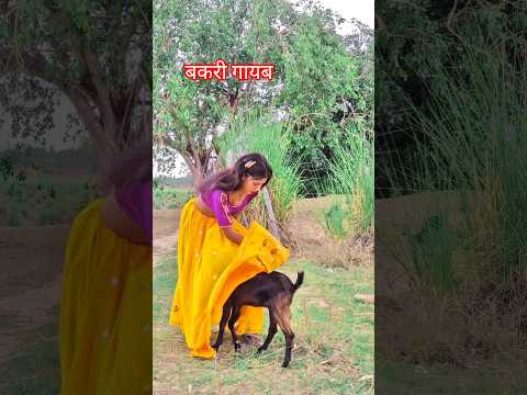 बकरी गायब 😄90'S Old Hindi Songs 🥺90s Love Song 😍Udit Narayan, Alka Yagnik, Kumar Sanu songs Hindi