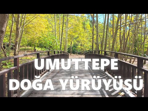 Günübirlik Doğa Yürüyüşü | Kocaeli Umuttepe'de 11.5 KM Orman Yolu Yürüyüşü