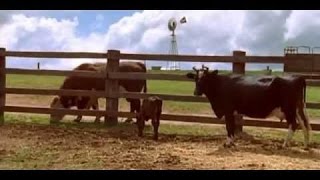 ᴴᴰ BEST ✓ McLeod's Daughters S 1 e 20 NEW 2017 ♥