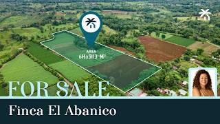 Finca El Abanico